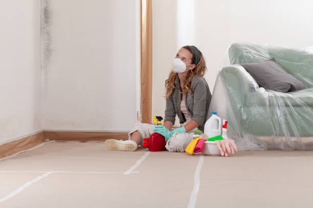 Reliable Mold Removal contractor in Middleton, MA by WQB Mold Removal